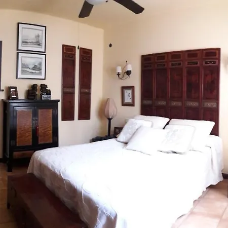 Nº 7 Tajinaste * Пуэрто дель Кармен