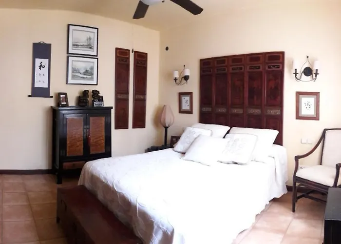 Nº 7 Tajinaste * Puerto del Carmen (Lanzarote)