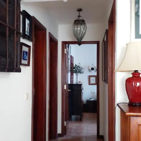 Nº 7 Tajinaste * Puerto del Carmen (Lanzarote)