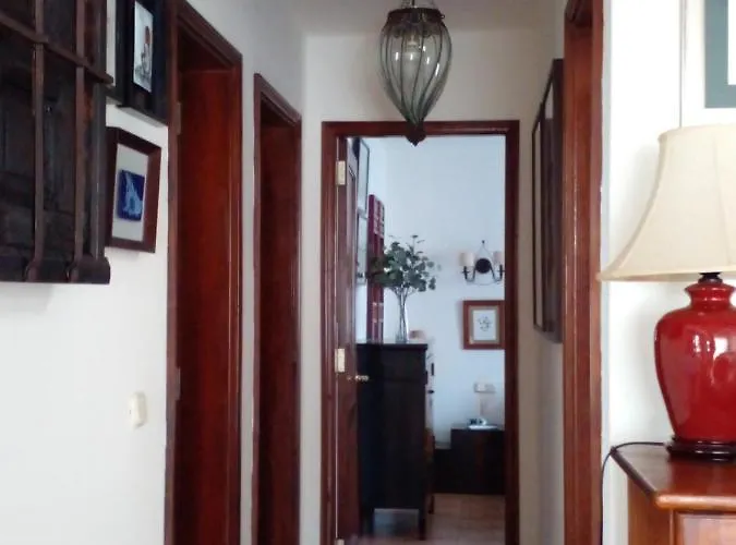 Nº 7 Tajinaste * פוארטו דל כרמן